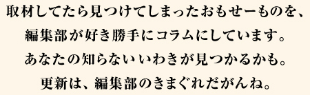 コラム